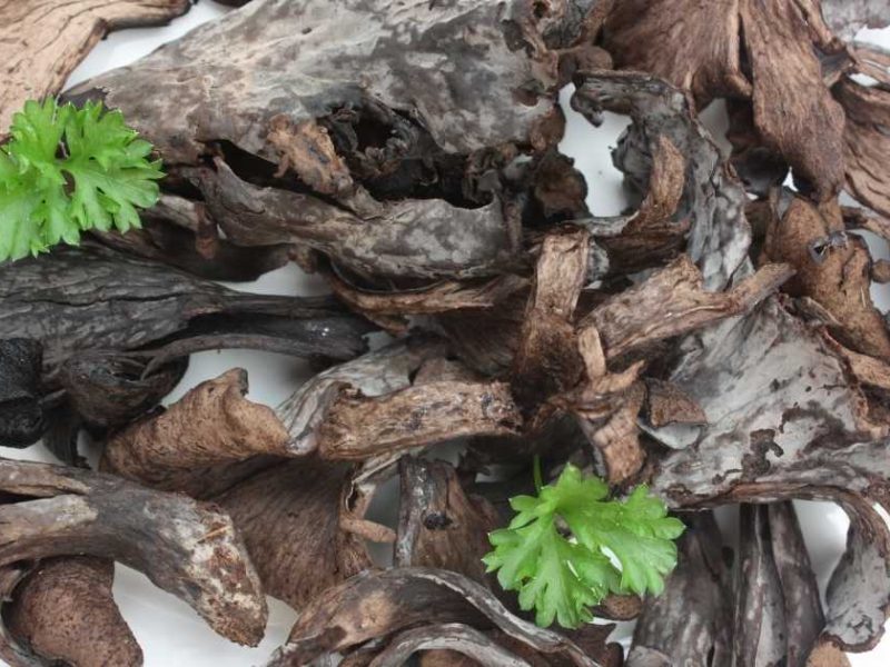 Trompettes de la mort : les meilleures recettes