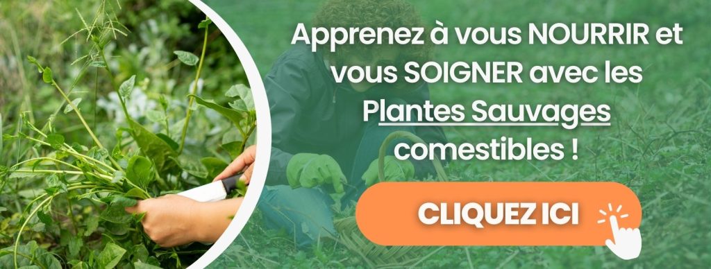 Avis jardinautes sur la formation du cueilleur le chemin de la nature
