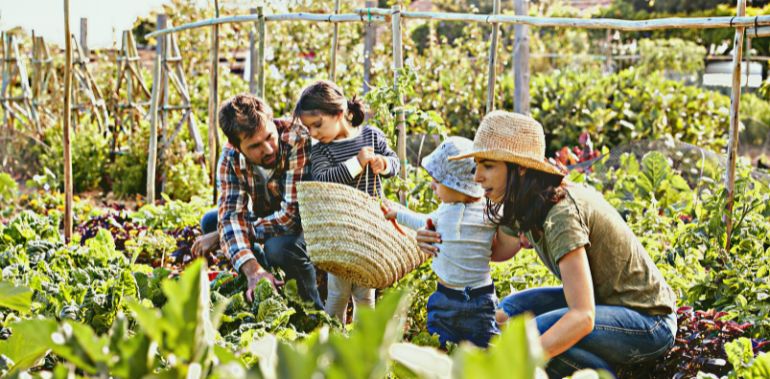 Bienvenue jardinaute !